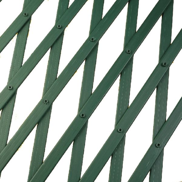 CELOSIA PLASTICA EXT. 2X1 VERDE